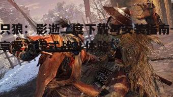 四、只狼:影逝二度的游戏优化