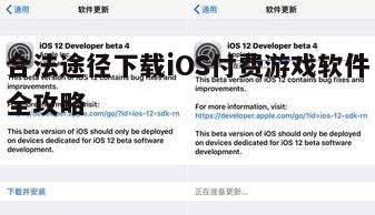 四、参加开发者测试版活动