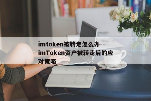 imtoken被转走怎么办--imToken资产被转走后的应对策略
