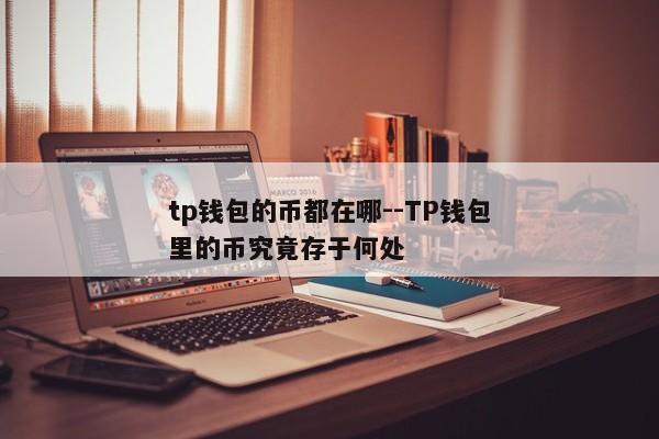tp钱包的币都在哪--TP钱包里的币究竟存于何处