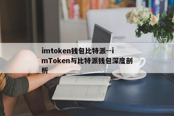 imtoken钱包比特派--imToken与比特派钱包深度剖析