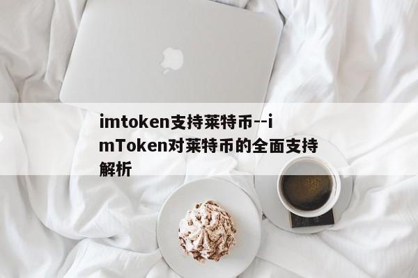 imtoken支持莱特币--imToken对莱特币的全面支持解析