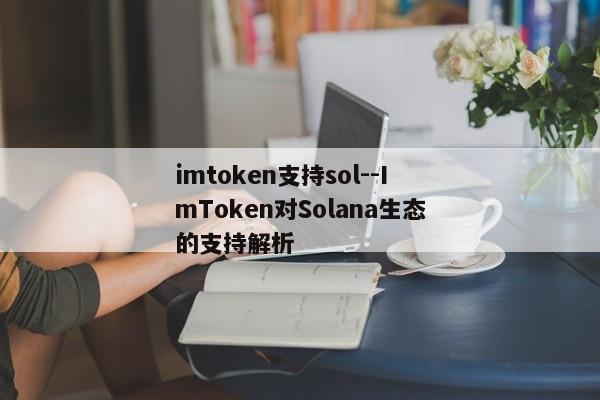 imtoken支持sol--ImToken对Solana生态的支持解析